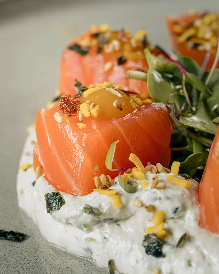 Salmón con crema blanca y brotes verdes