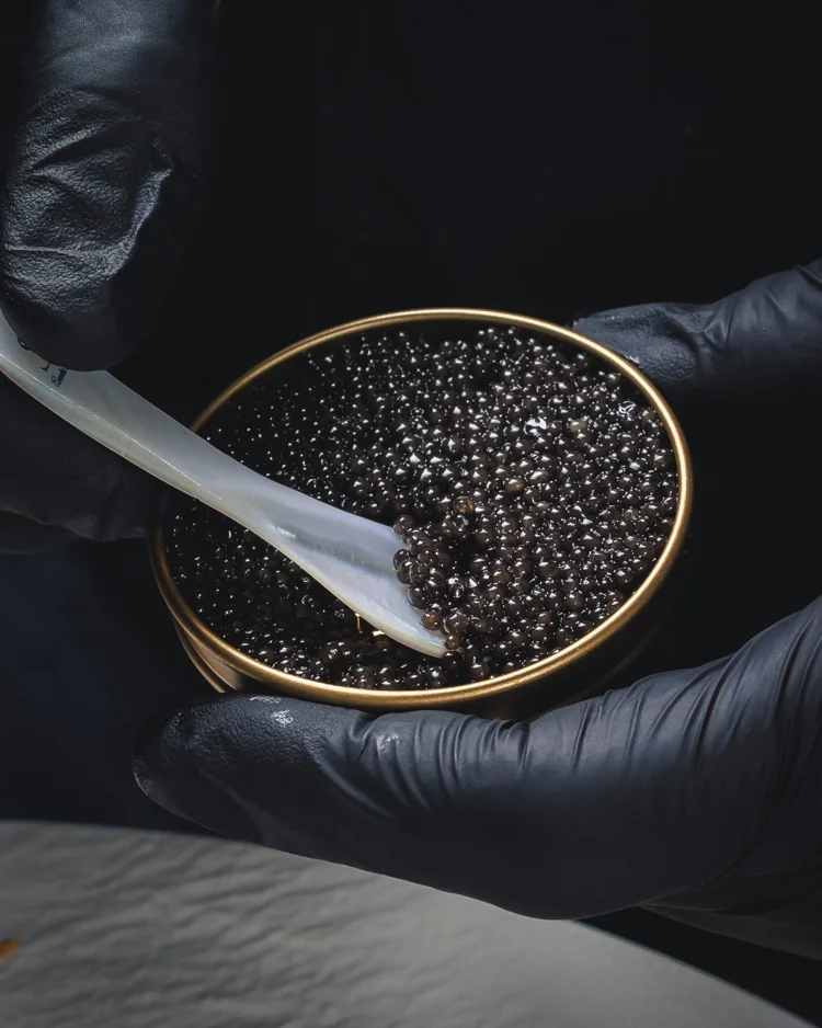 Manos con guantes sosteniendo caviar