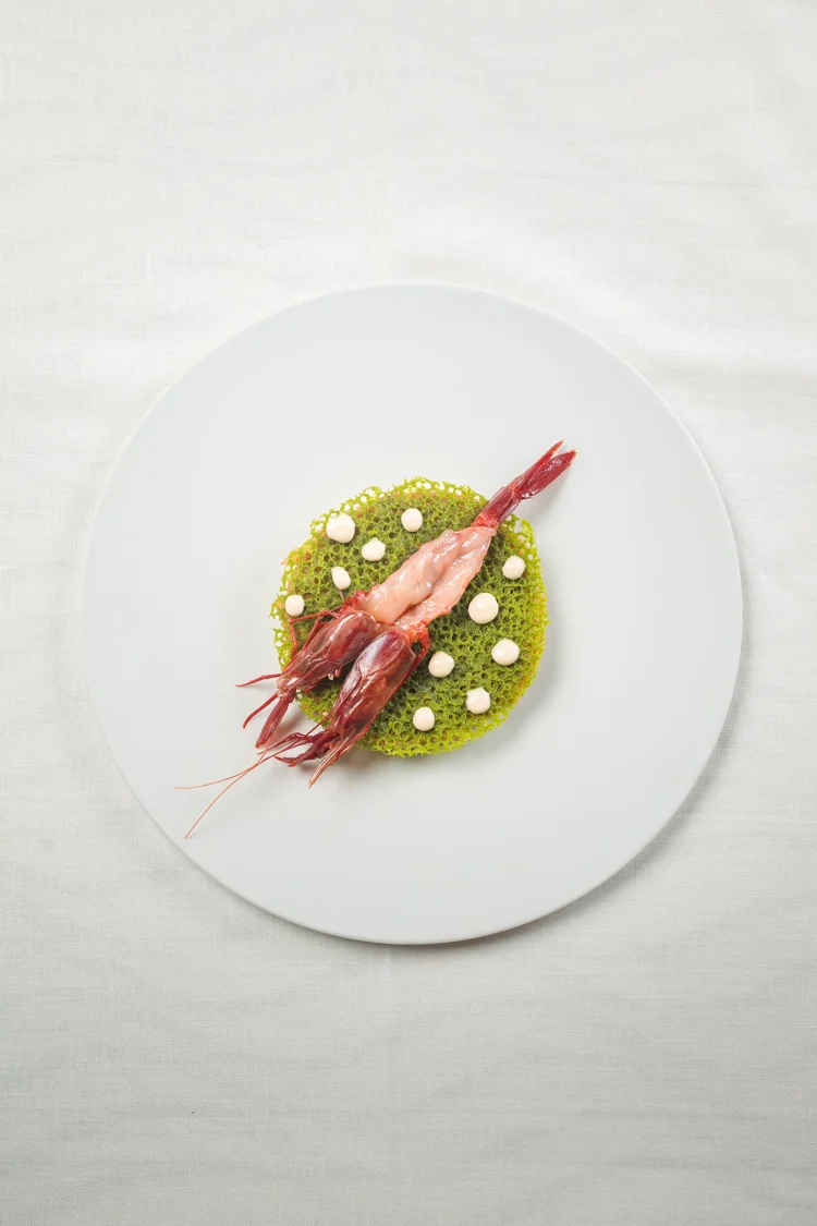 Camarón rojo sobre galleta verde